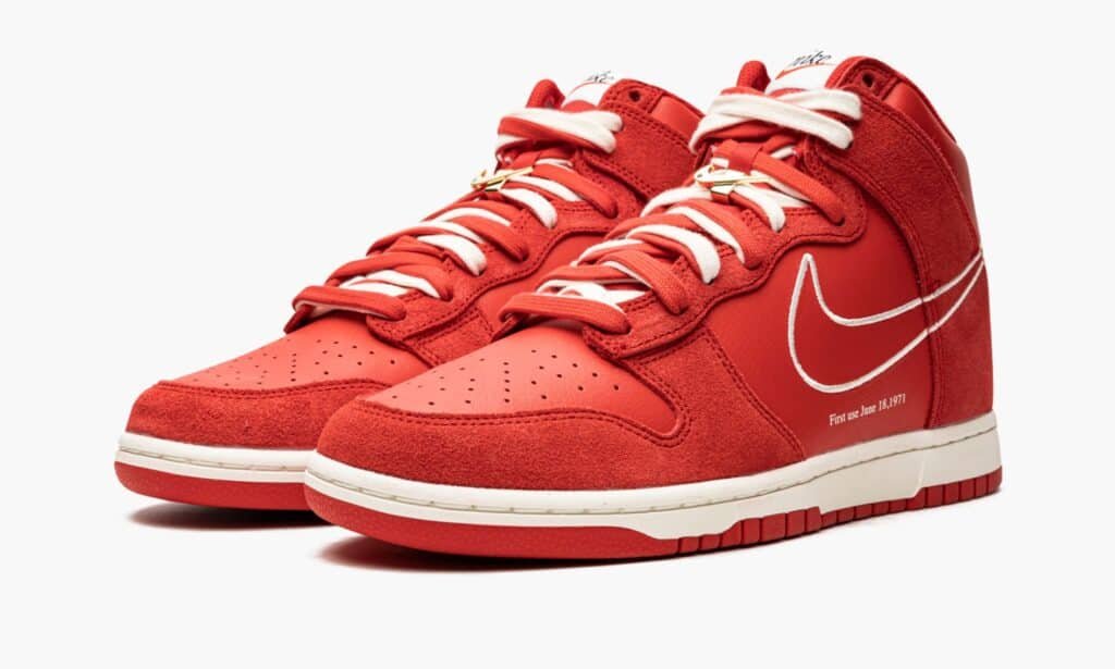flykicks nike dunk high first use 2 sur 5